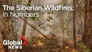 The wildfires plaguing Russias forests