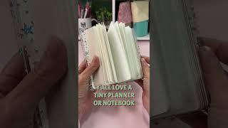 Tiny Planners are in for 2024 #dailyplanning #notebook #planner #newplanner