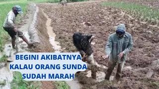 Obrolan Sunda Lucu Ngacapruk Di Sawah