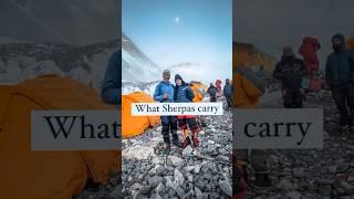 What do Sherpas carry to high camps?