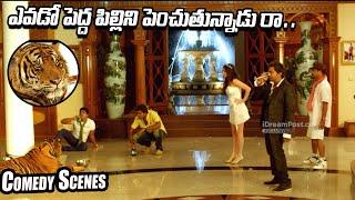 Allari Naresh Movie Comedy Scene  Allari Naresh Comedy Scenes  @iDreampost