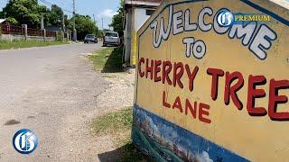 Luck and quick action by residents prevented more deaths in Cherry Tree Lane assault