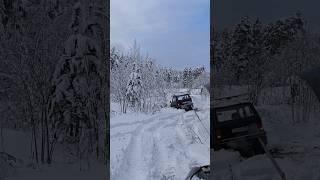 Эвакуация нивы #2024 #nature #automobile #forest #winter #лес #снег #offroad #road #snow #niva