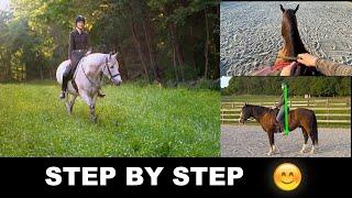 HOW TO RIDE A HORSE FOR BEGINNERS STEP BY STEP 