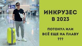 Правда об Инкрузес в 2023. Стоит ли вступать сейчас?