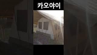 태국 여행갔는데 빨리 벗겨 달라는 그녀 카오야이 여행 #shorts