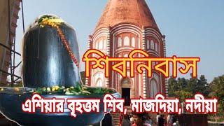 SIBNIBASH।। শিবনিবাস।। এশিয়ার বৃহত্তম শিব।।মাজদিয়া নদীয়া