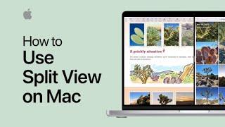 How to use Split View on Mac  Apple Support