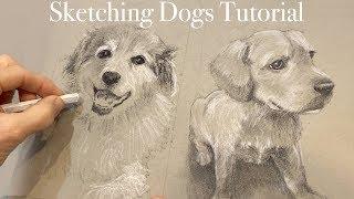 How to Sketch Dogs  Tutorial and Techniques