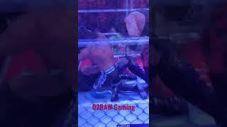 Steel Cage championship match WWE 2K23