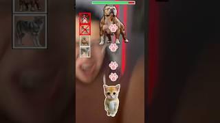 MI PERRO LE GANA  #shorts #viralvideo