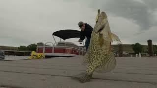 How To Fish Docks For Crappies.