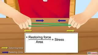 Stress Strain Curve  Mechanical Properties of Solids  AASOKA