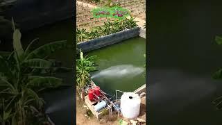 Water Pond  Drone Video  Sagu Nestham