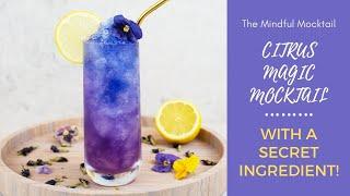 Citrus Magic Mocktail Recipe  Summer Mocktails and Non-Alcoholic Cocktails - The Mindful Mocktail