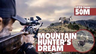 Hunting Roaring Stag and Chamois in the Italian Alps