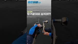 사이즈 추측 가능??