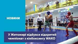 У Житомирі відбувся відкритий чемпіонат міста з кікбоксингу WАКО