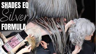 Gray blending hair tutorial + silver shades eq formula