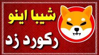 آماده انفجار باشید  شیبا اینو رکورد زد