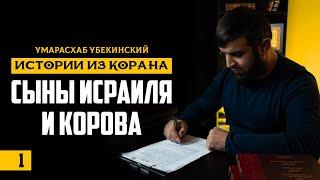 Истории Корана История коровы Бану Исраиль Умар Асхаб Убекинский