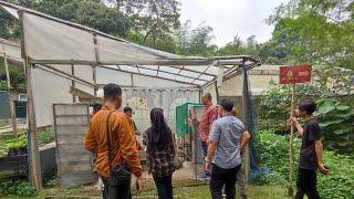 FASUM Rumah Dago Villege Jalan-jalan di kawasan Tani kota  Edukasi Anak BerTani Ternak di Alam