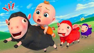 Baa Baa Black Sheep Song  Super Sumo Nursery Rhymes & Kids Songs