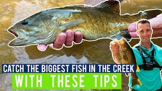 How to Fish Creeks - Catch BIG Creek Smallmouth