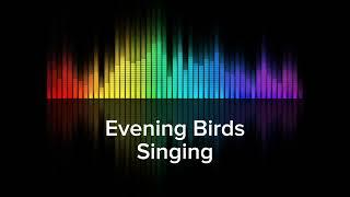 Evening Birds Singing  Sound Effects