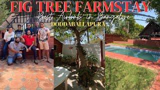 Best Airbnb In Bangalore with Pool - Fig Tree Farmstay - Doddaballapura