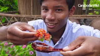 Fresh River Prawn  in the morning and full stomach