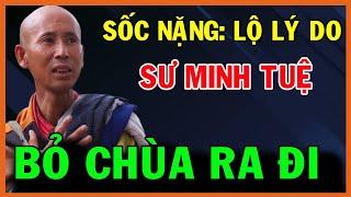 Không Ngờ Thầy Minh Tuệ Bỏ Chùa Ra Đi  KHỔ HẠNH Là Vì Lý Do Này SDHP