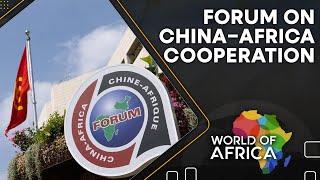 Chinese investors re-hedge bets in Africa  World of Africa  WION