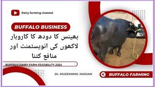 Buffalo dairy farm feasibility 2024 II karachi buffalo farming II Profit of karachi farming