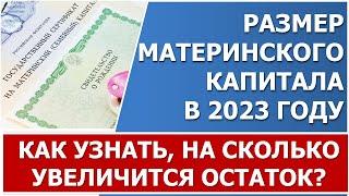 Размер материнского капитала в 2023 году. На сколько увеличится МК или остаток с 1 февраля 2023 г.