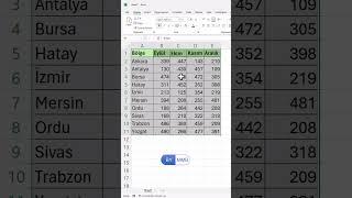 #Excelde Çift Yönlü Arama #shorts