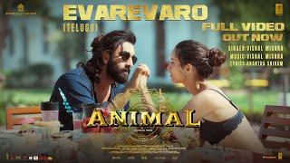 ANIMAL Evarevaro Full Video - Ranbir KapoorTripti Dimri  Sandeep V  Vishal M  Bhushan K