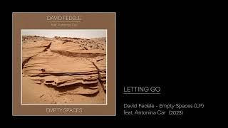 David Fedele - Letting Go from EMPTY SPACES - feat. Antonina Car