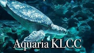 aquaria KLCC in Kuala Lumpur  Largest Aquarium in Malaysia【Full Tour in 4k】