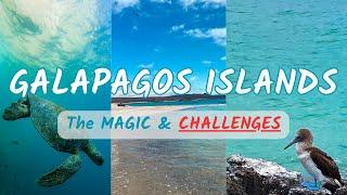 Galapagos Islands A to Z From Hidden Gems to HARSH REALITIES - Your Ultimate Galapagos Travel Guide