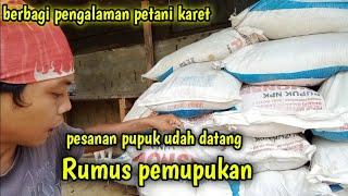 pemupukan pun ada rumusnya.. petani karet