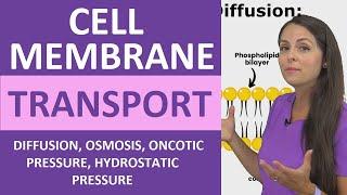 Cell Membrane Transport Passive & Active Diffusion Osmosis Hydrostatic Oncotic Pressure Colloid