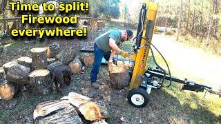 Firewood everywhere Tractor Supply Countyline 25 ton log splitter Wood splitter #702