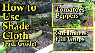 A Garden Shade Cloth Guide - Save Your Crops Tomatoes Peppers Cucumbers & Fall Crop Examples