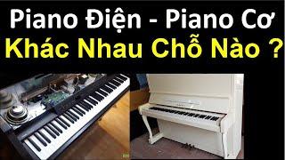 Tìm Hiểu Cấu Tạo Piano Điện Và Piano Cơ  Phân Tích Chi Tiết - Cụ Thể - Trực Quan - Dễ Hiểu 