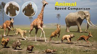 Animal Speed Comparison Part 2  Fastest Animal Birds on Land  Godzilla and Kong Speed