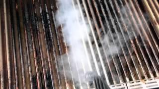 Verwendung eines Dampfreinigers zur Reinigung eines Grills