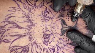 Lion tattoo  Time lapse