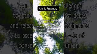 Karmic Resolution