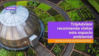 El Jardín Botánico cuna de biodiversidad según TripAdvisor  Medio Ambiente